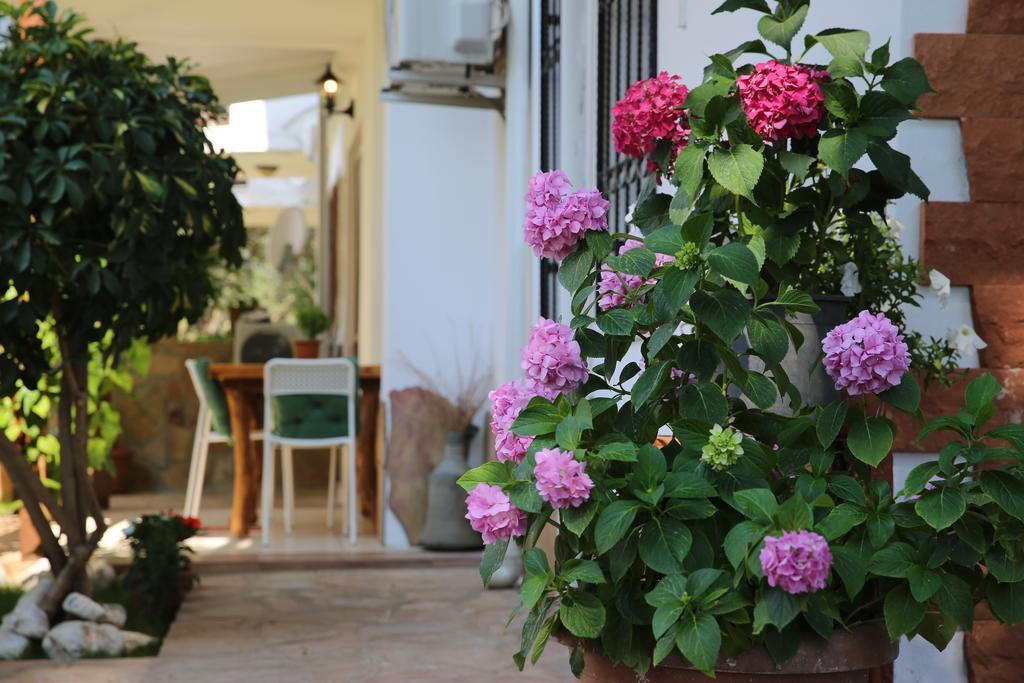 Limon Apart Apartment อัคยาคา ภายนอก รูปภาพ